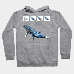 whale Hoodie